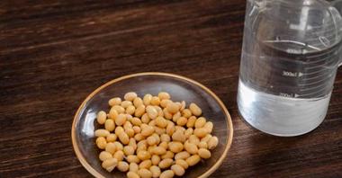 How to Make Perfect Soy Milk at Home