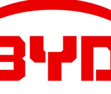 The BYD Price Cut Controversy: A Deep Dive into China's EV Supply Chain Dynamics