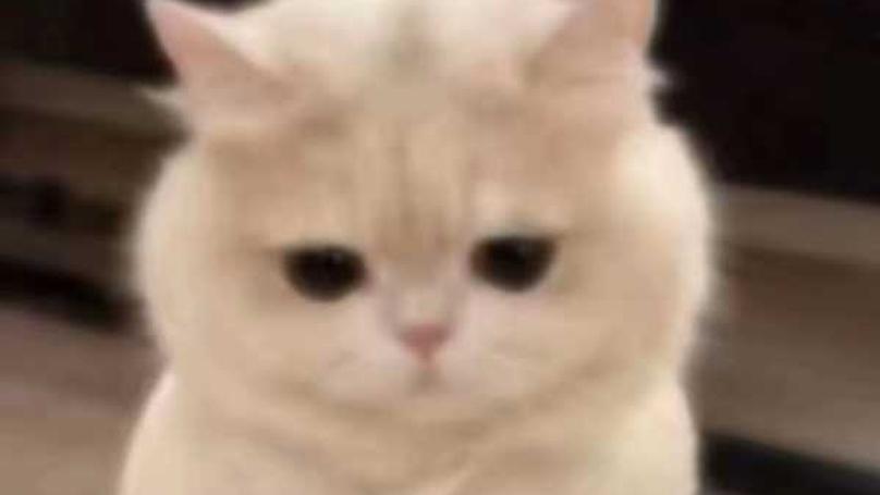 College Student Debt: The Reality of Early Consumption