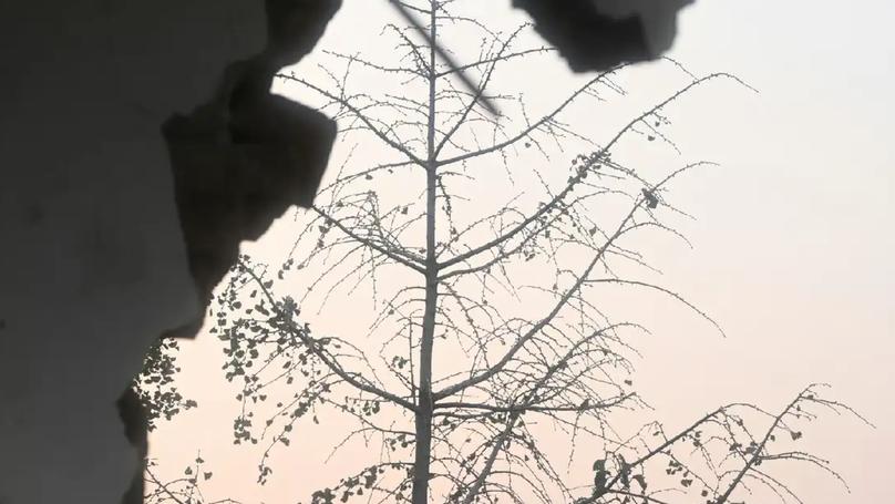 Overcoming Anxiety: Wisdom from Chinese Social Media