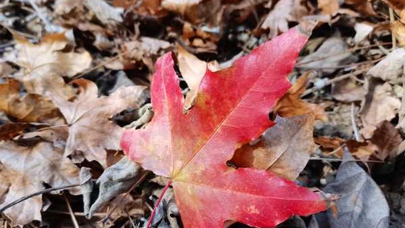 Why Travel is So Popular: Beyond the Tourist Trail