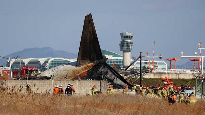 Bird Strikes and Aircraft Safety: The Korean Air Incident