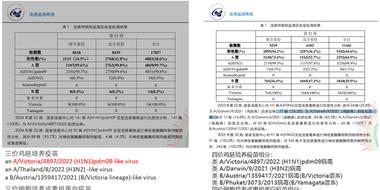 Influenza Surge in China: Understanding the 2024 Flu Season