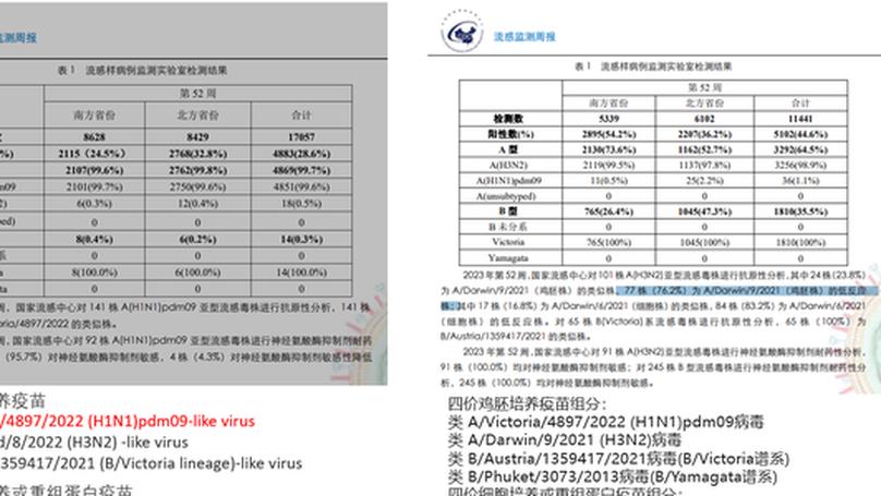 Influenza Surge in China: Understanding the 2024 Flu Season