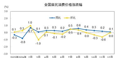 China's December 2024 CPI: Economic Implications and Structural Challenges