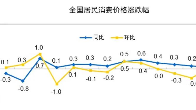 China's December 2024 CPI: Economic Implications and Structural Challenges