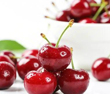 The Science Behind Cherry Preservation During Long-Distance Transport