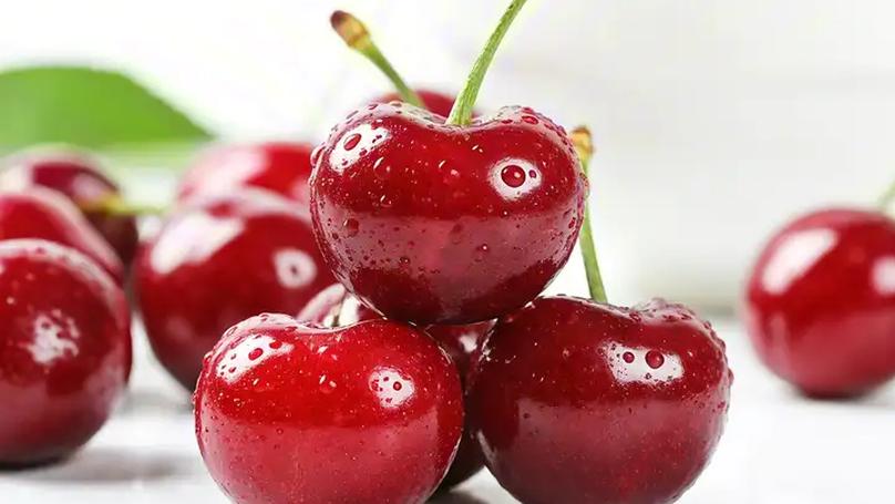 The Science Behind Cherry Preservation During Long-Distance Transport